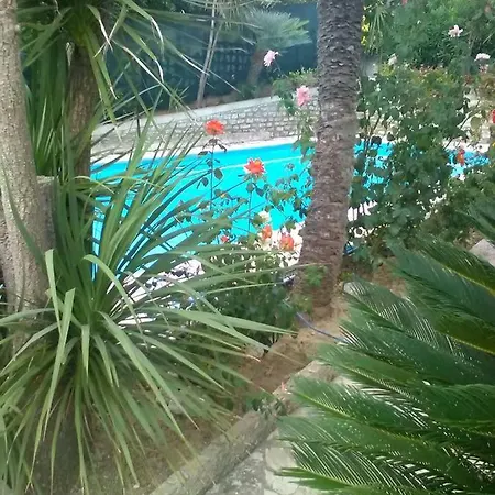 Open Space Con Piscina *
